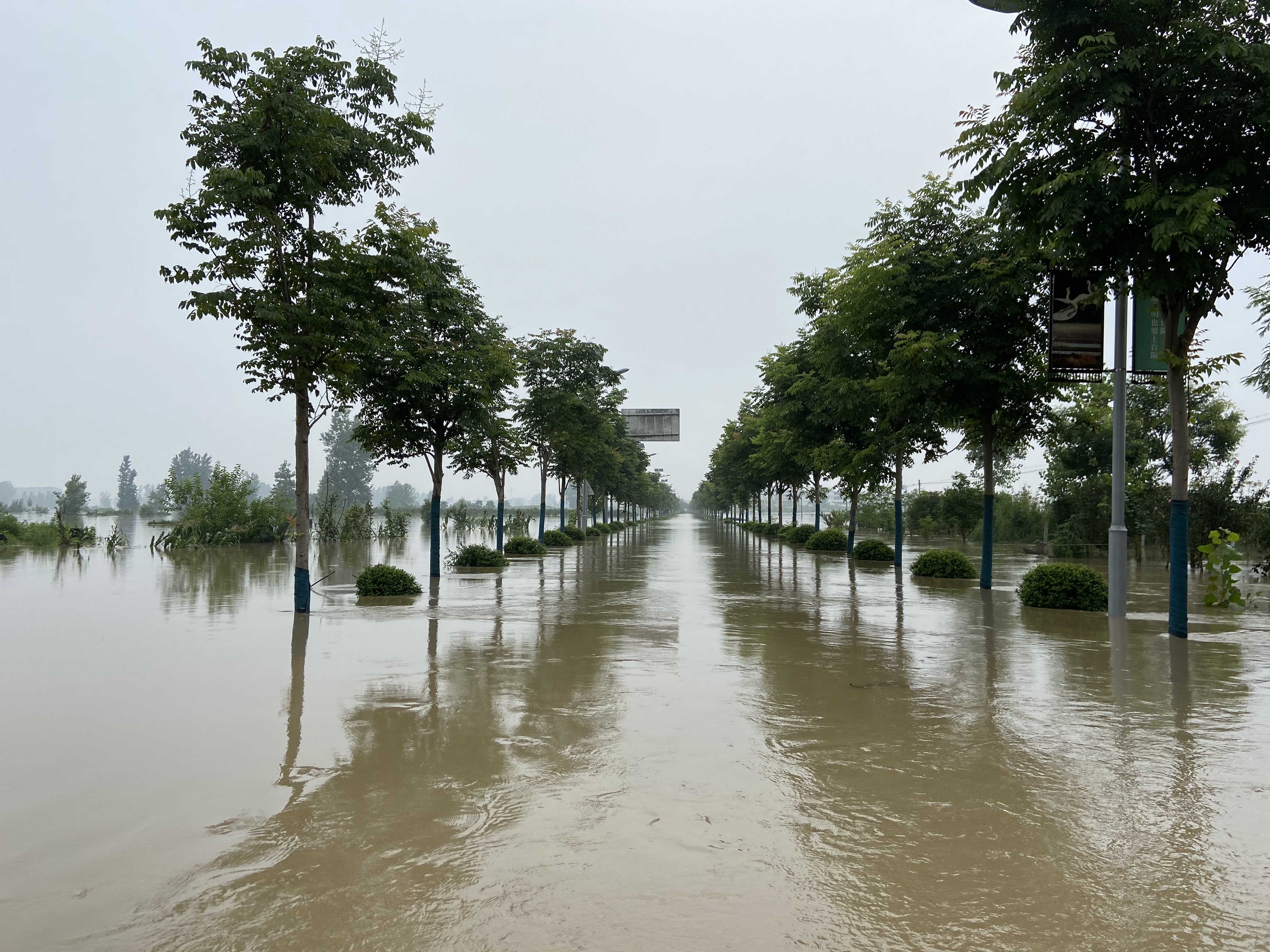 王家坝镇李郢村郑台孜通往外界的道路已被洪水淹没，郑台孜庄台位于蓄洪区王家坝镇保庄圩北侧，台底地面高程26米，台顶高程31.2米，台顶面积1.3万平方米。