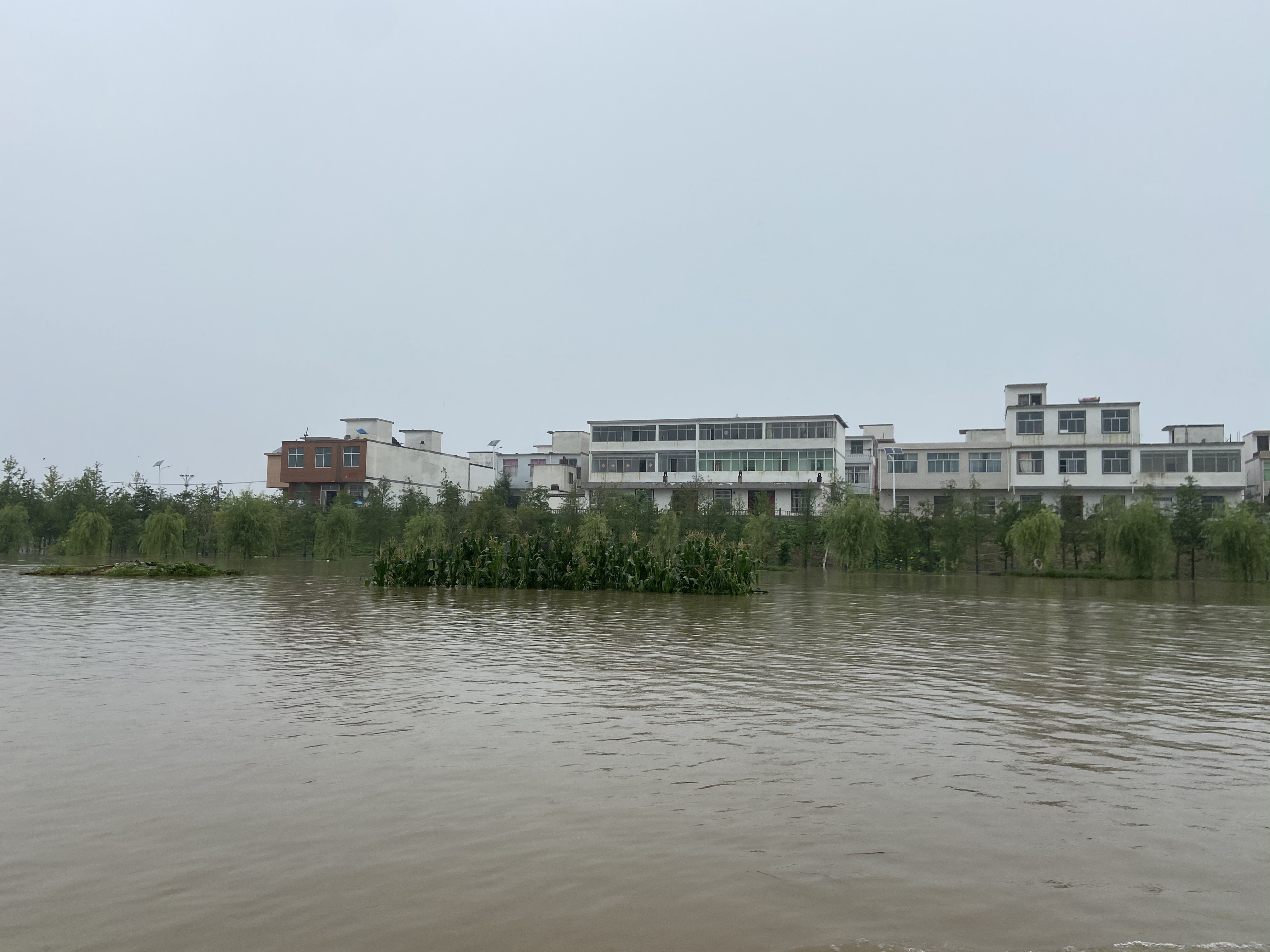 蓄洪区内，郑台孜被洪水围住，目前有96户共376人在此居住。