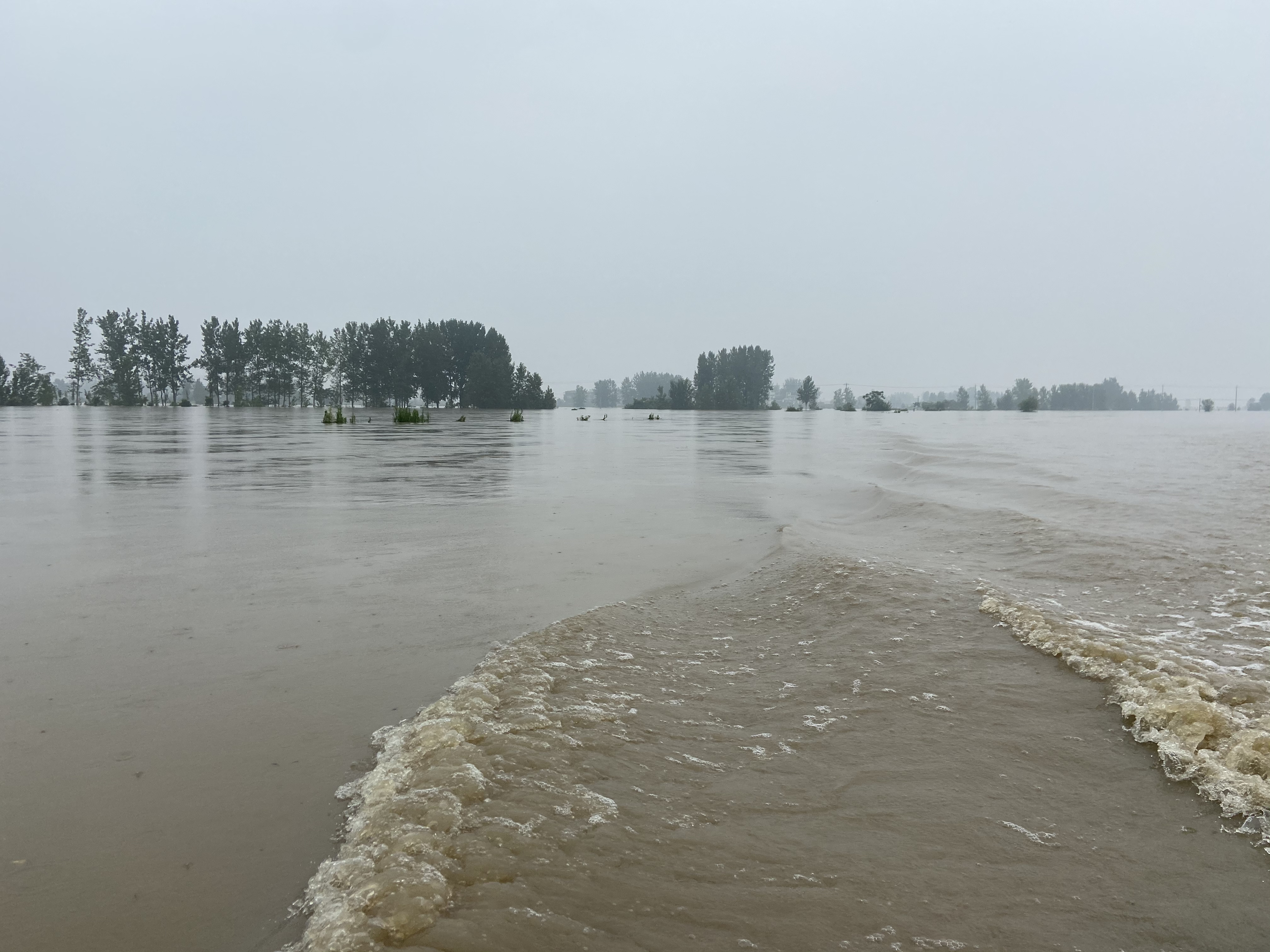 因为上游来水仍在增加，王家坝闸泄洪后，蓄洪区水位不断上涨，几乎每小时都能肉眼看到涨势。
