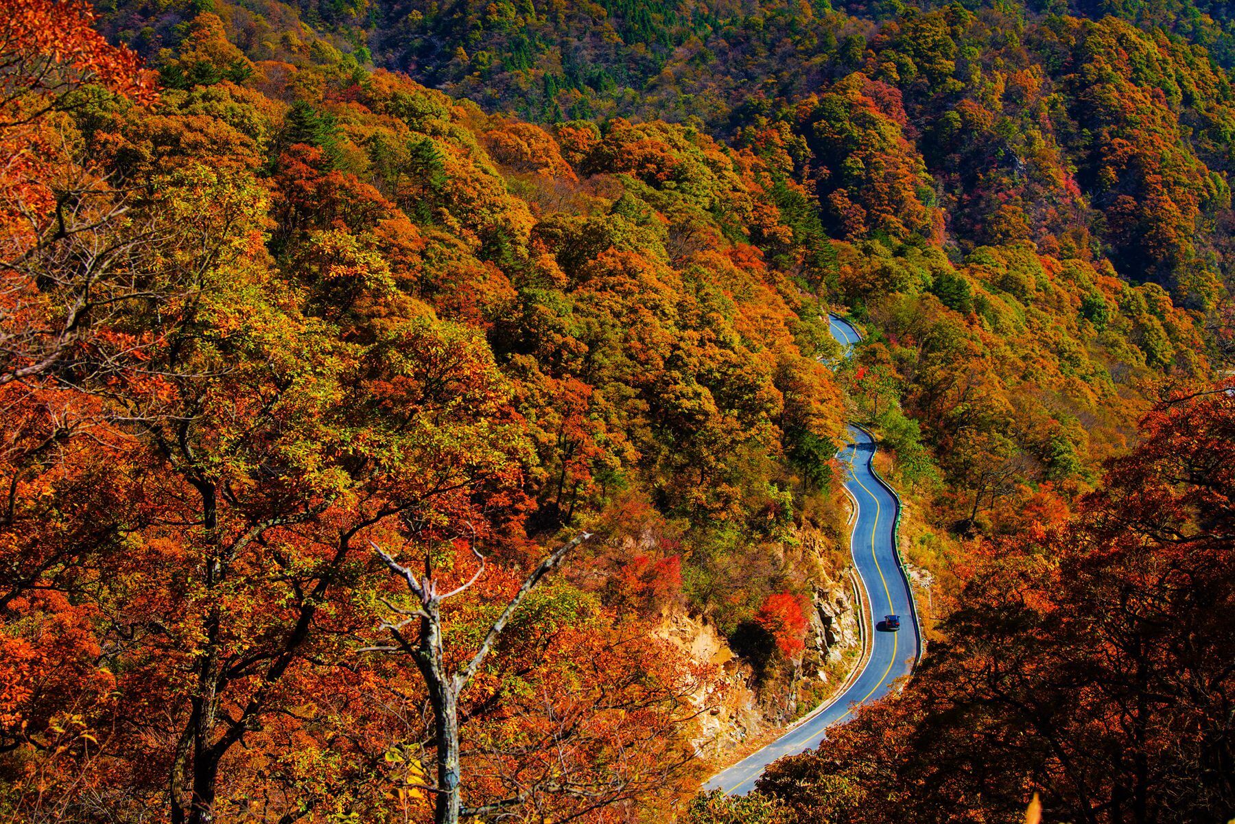 大别山风景道秋色.jpg