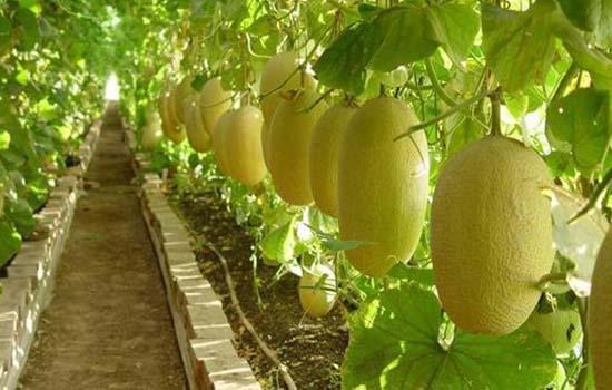 src=http___content.pic.tianqi.com_content_20180130_a1ab6aca3c454c7d8f0659f99f60f945.jpg&refer=http___content.pic.tianqi.jpg