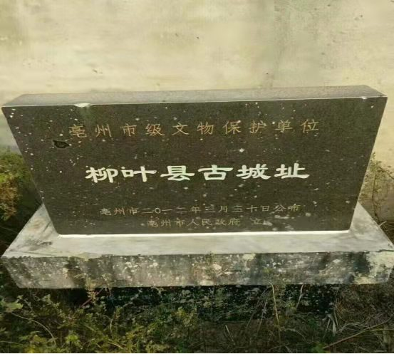 图片7.png