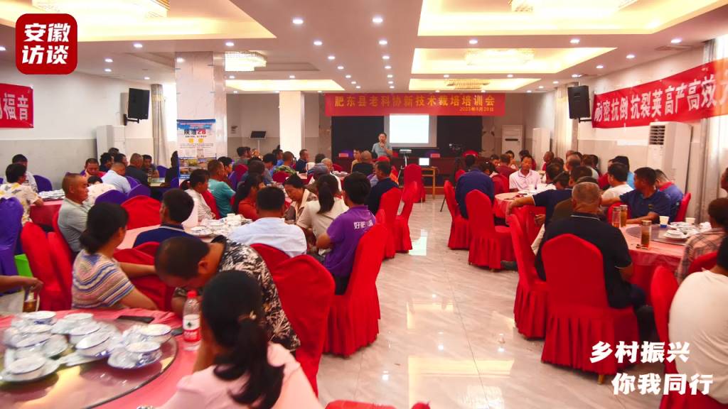 Compress_助力乡村振兴  肥东县新技术栽培培训会成[00_00_26][20230828-211022].jpg