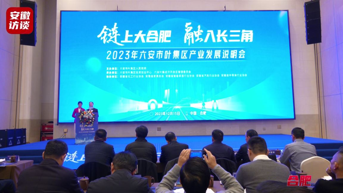 Compress_百家企业齐聚一堂 共话叶集“百年家居、千[00_00_03][20231218-152846].jpg