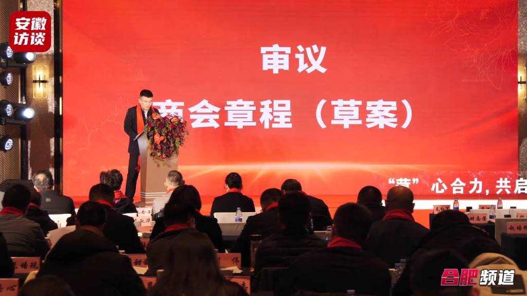Compress_1合肥市菏泽商会成立大会暨第一届会员代表[00_00_53][20231225-204553].jpg