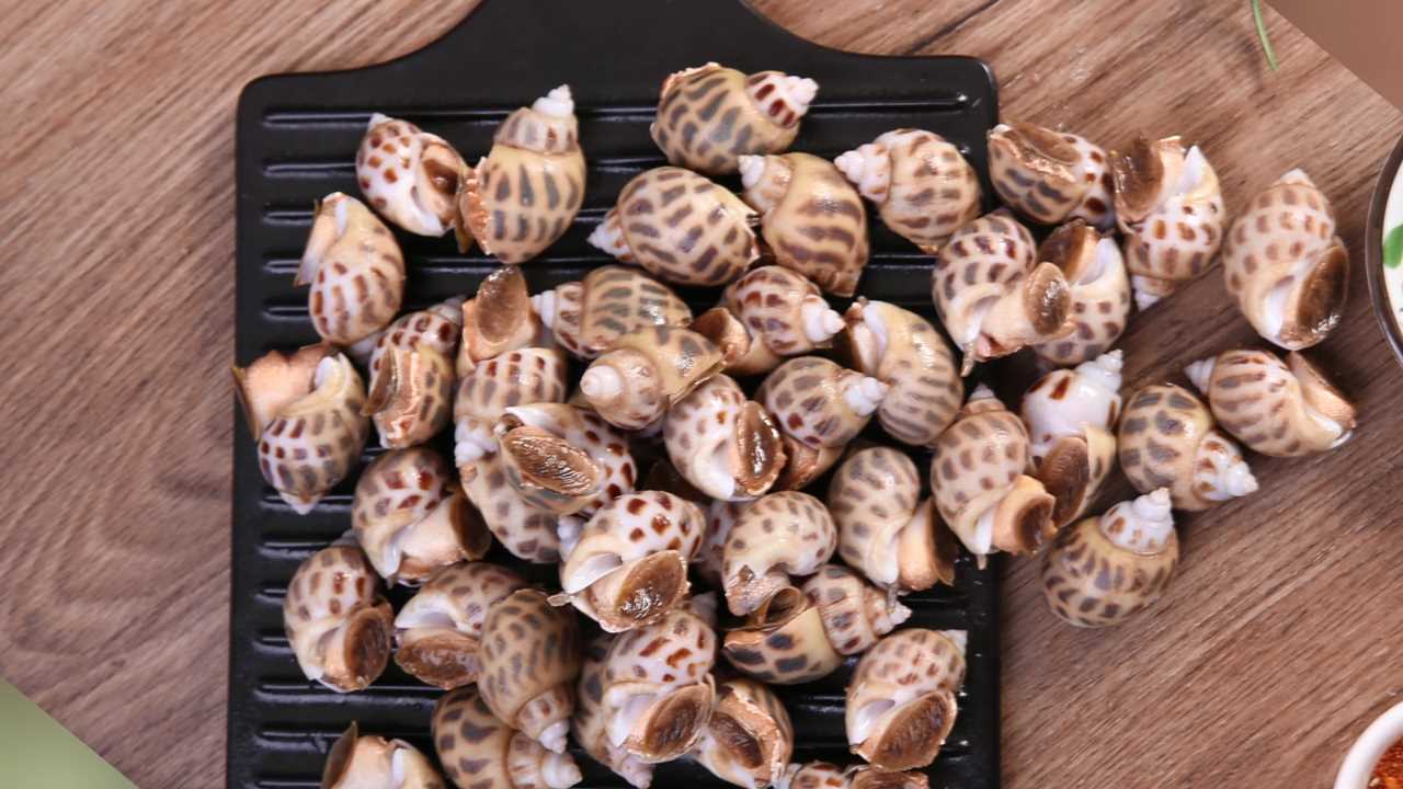 Compress_4月22日 (1)[00_00_58][20240422-204307].jpg