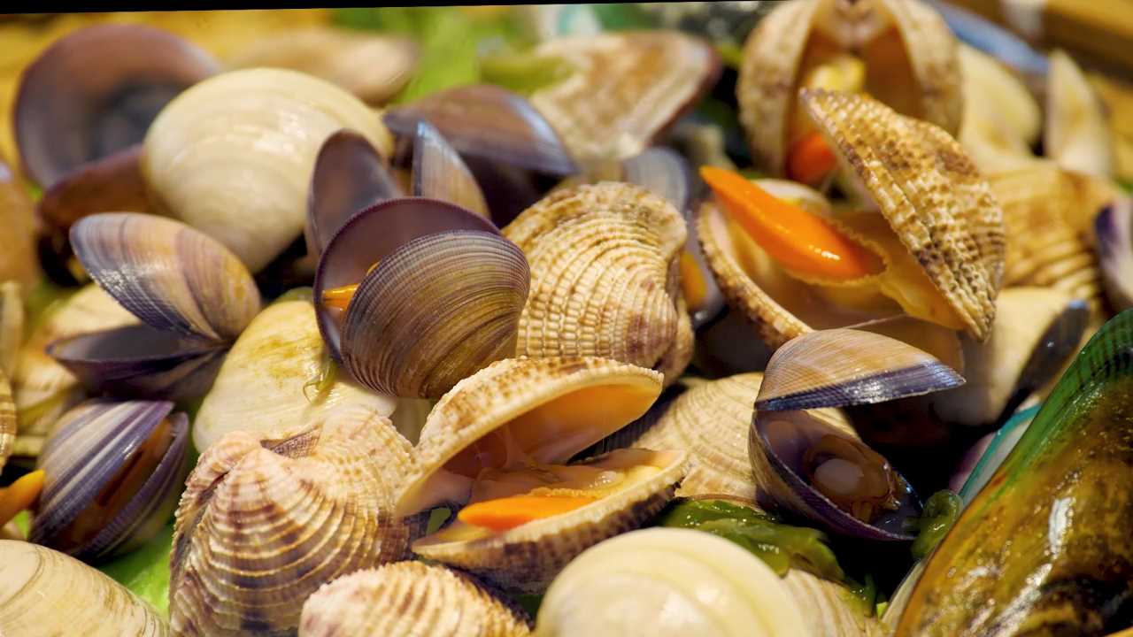 Compress_4月22日 (1)[00_01_55][20240422-204445].jpg