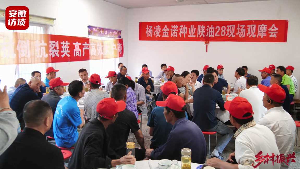 Compress_陕油28油菜观摩会在安庆市望江县漳湖镇成[00_01_04][20240511-211310].jpg