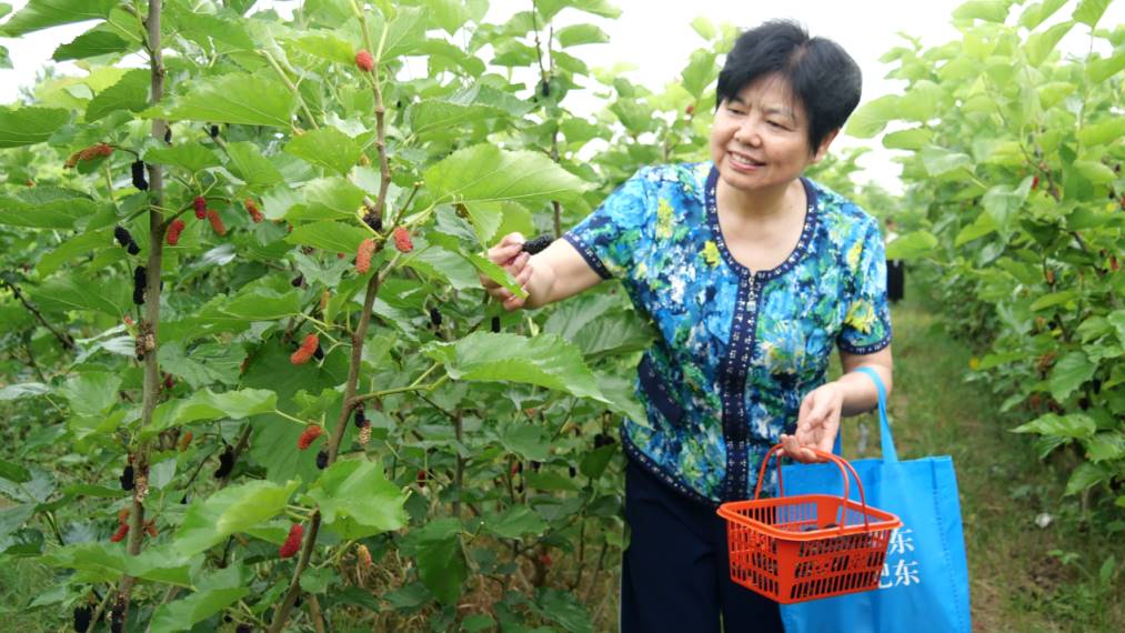 1716437798427629.jpg Compress_4.jpg