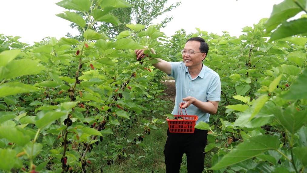 1716437816471757.jpg Compress_6.jpg