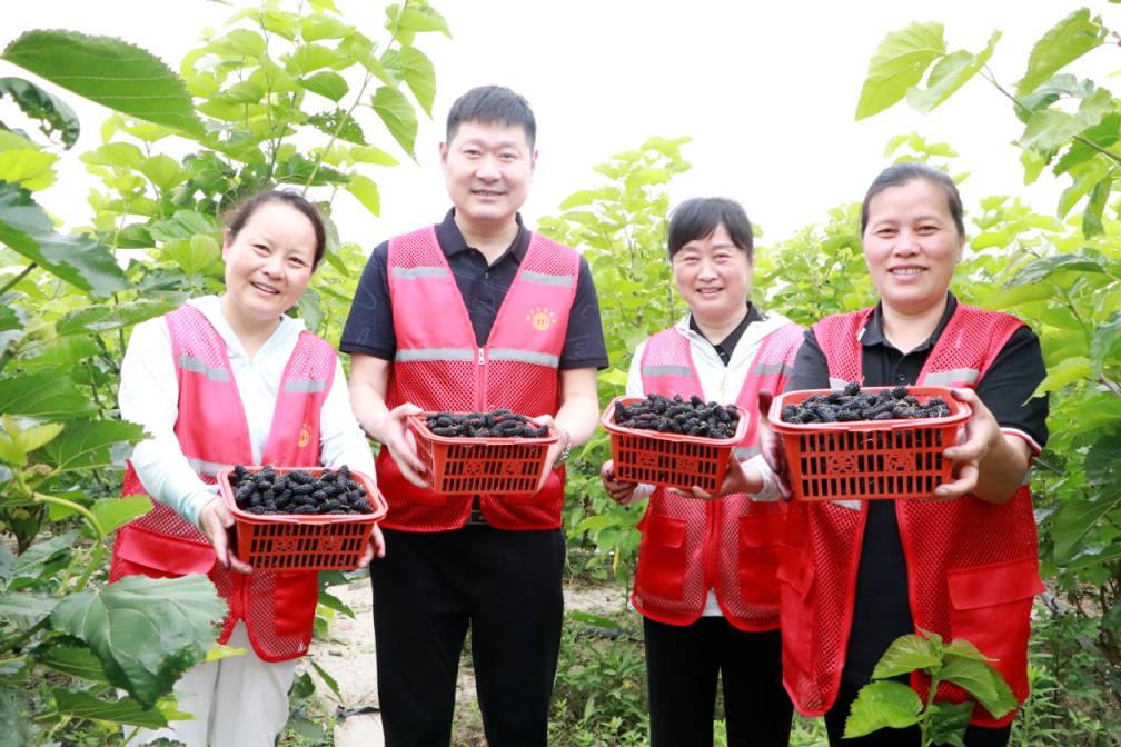 1716437837999311.jpg Compress_8.jpg