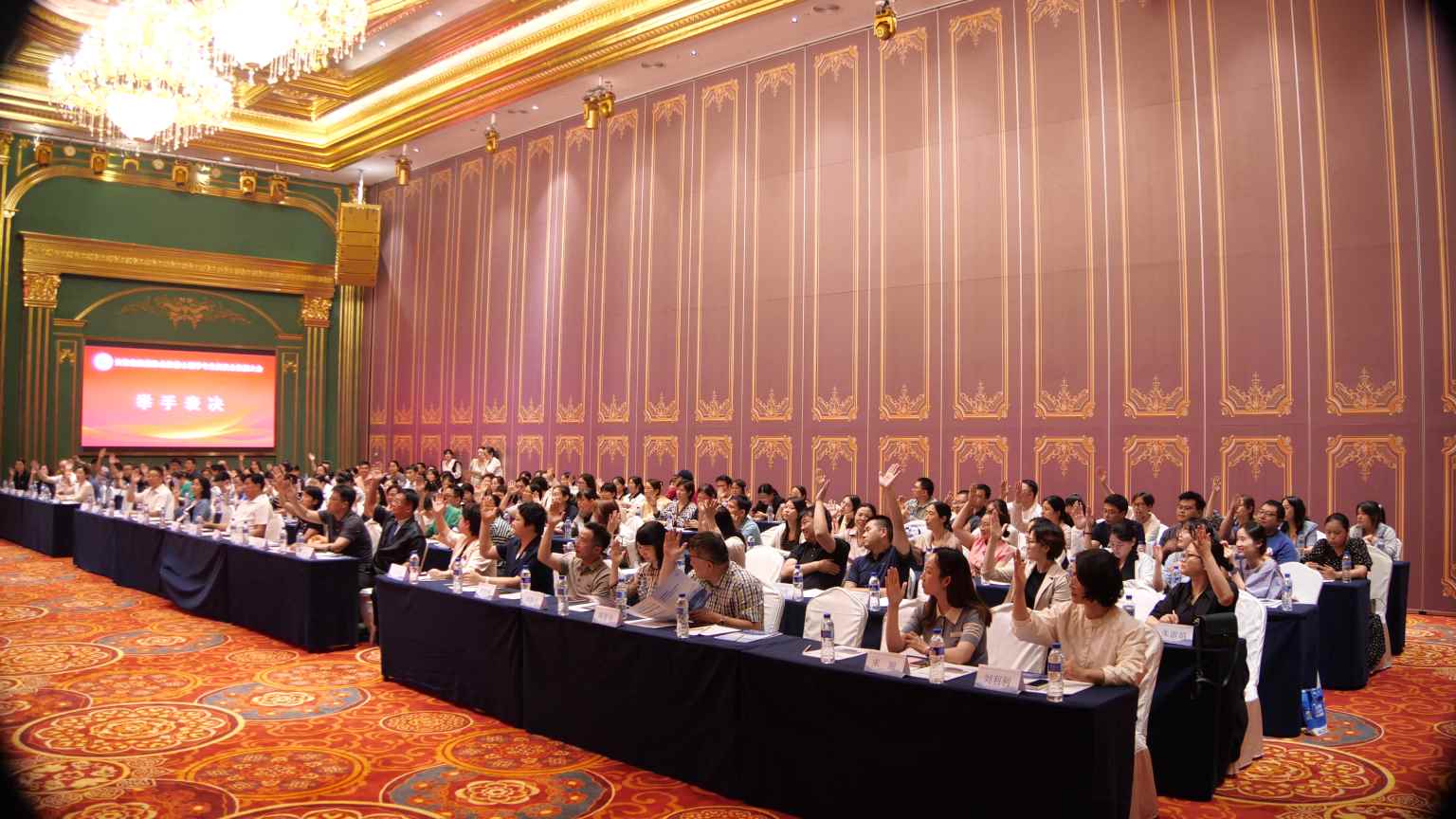Compress_P1168630[00_00_05][20240616-130836].jpg