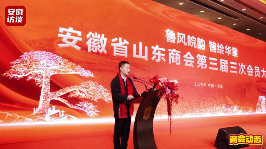 Compress_鲁风皖韵 智绘华章 金阳助力携手共进创辉[00_00_41][20250123-012400].jpg