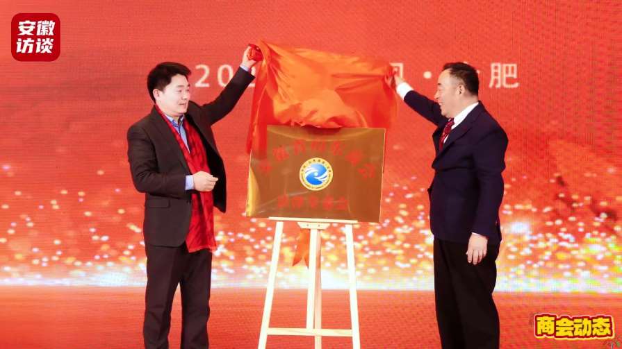 Compress_鲁风皖韵 智绘华章 金阳助力携手共进创辉[00_01_26][20250123-012459].jpg
