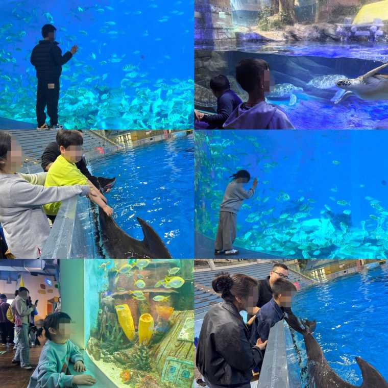 Compress_图片2.jpg