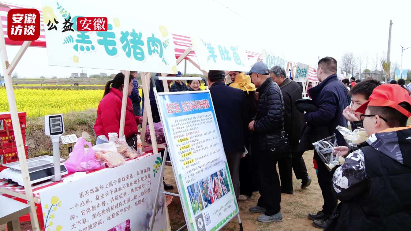 Compress_六安市罗集乡首届油菜花观赏节盛大开幕，陕[00_00_50][20250331-050428].jpg