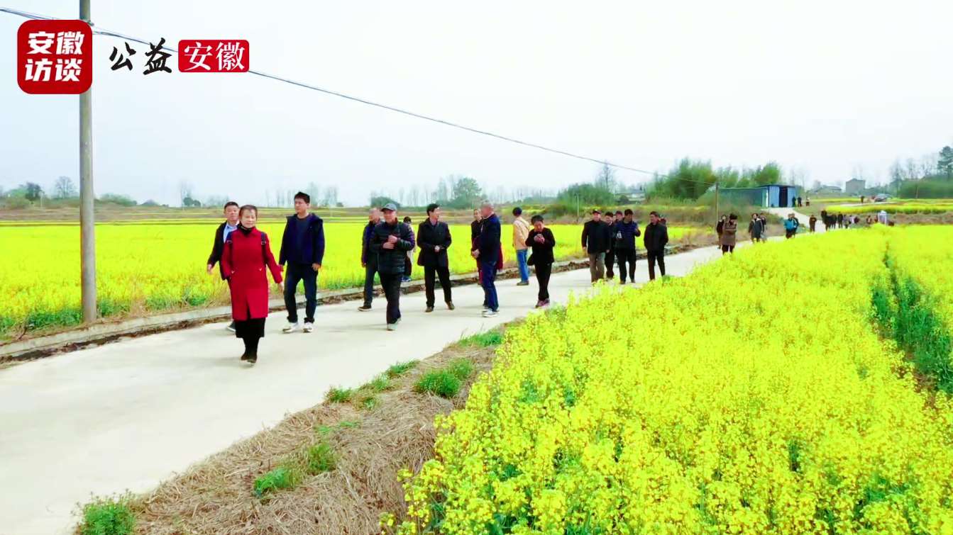 Compress_六安市罗集乡首届油菜花观赏节盛大开幕，陕[00_00_38][20250331-050358].jpg