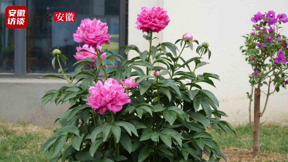 Compress_匠心筑梦 服务致远——合肥恒道物业管理有[00_01_07][20250426-020013].jpg
