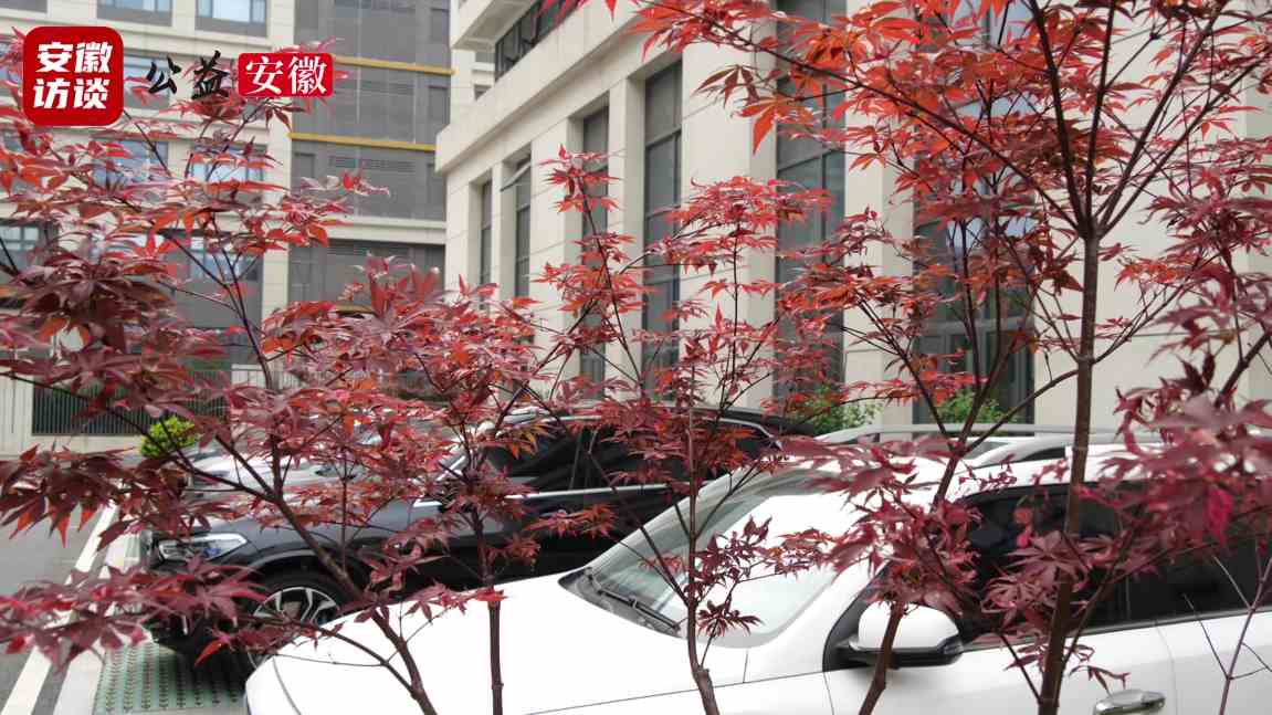 Compress_匠心筑梦 服务致远——合肥恒道物业管理有[00_01_26][20250426-020057].jpg