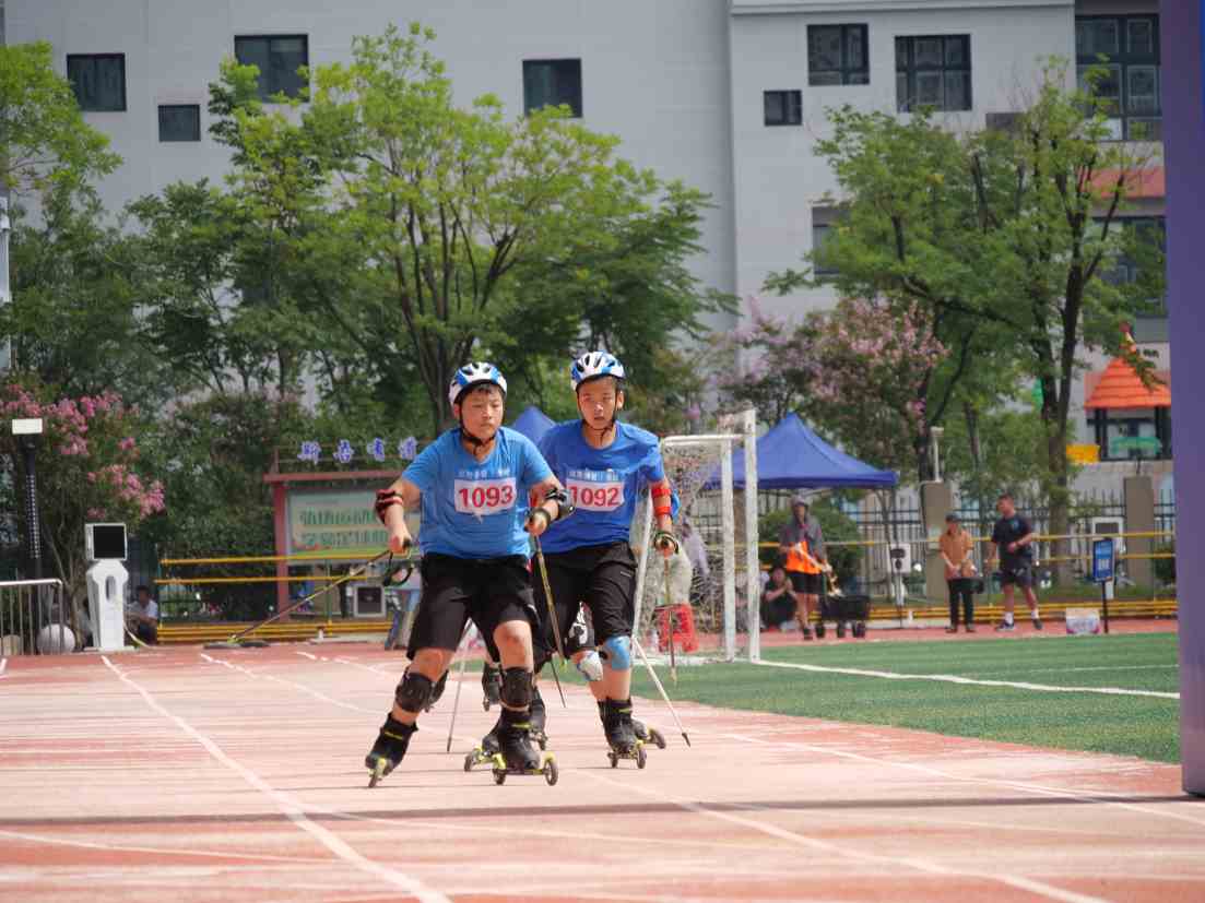 1752480906816785.jpg Compress_P1367778.JPG