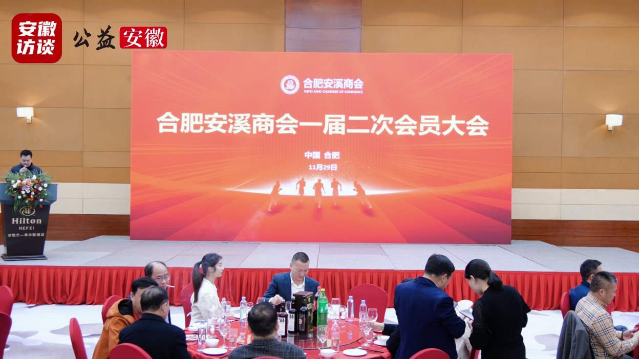 Compress_凝聚乡情促发展 携手共赢谱新篇——合肥安[00_03_12][20251201-175046].jpg