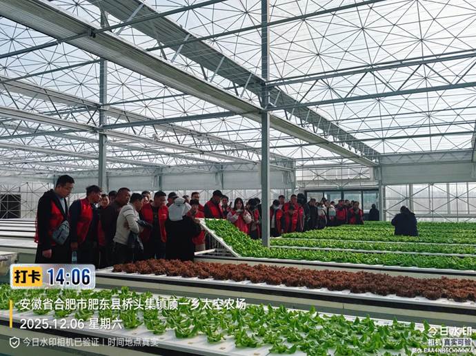 1765436599944479.jpg 3.jpg