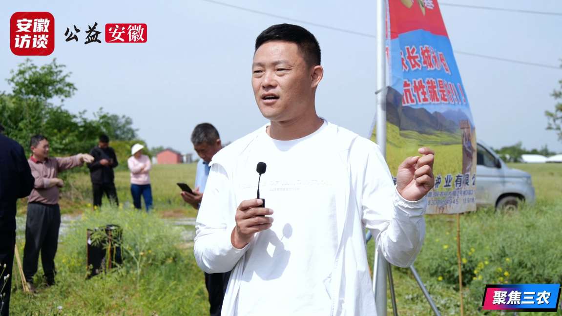 Compress_“陕油22”单产提升技术培训暨现场观摩会[00_00_52][20260508-230539].jpg