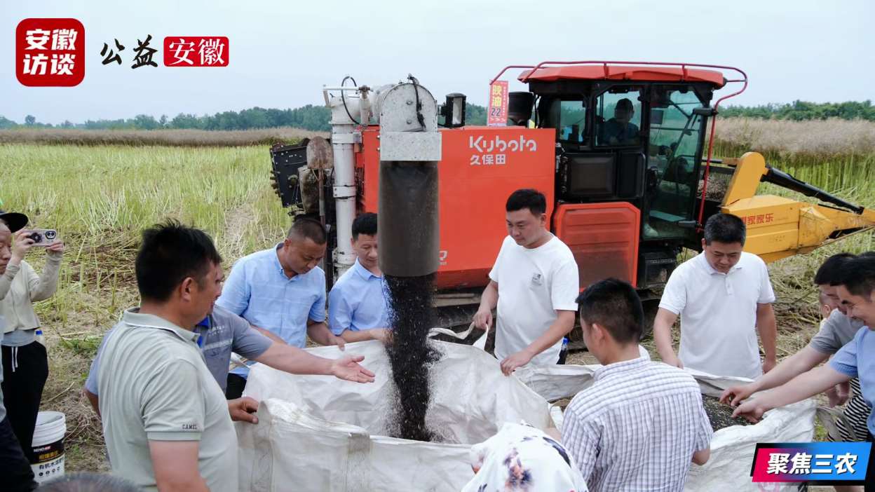 Compress_陕油22”油菜品种测产观摩会在六安叶集成[00_00_49][20260529-003837].jpg