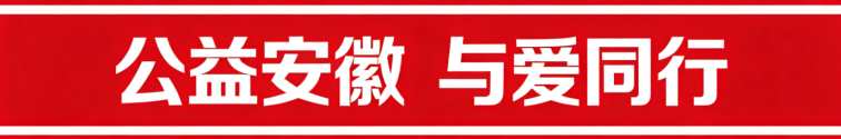 Compress_公益安徽 与爱同行.jpg